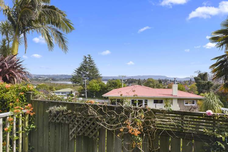 350b Ngatai Road Bellevue_1