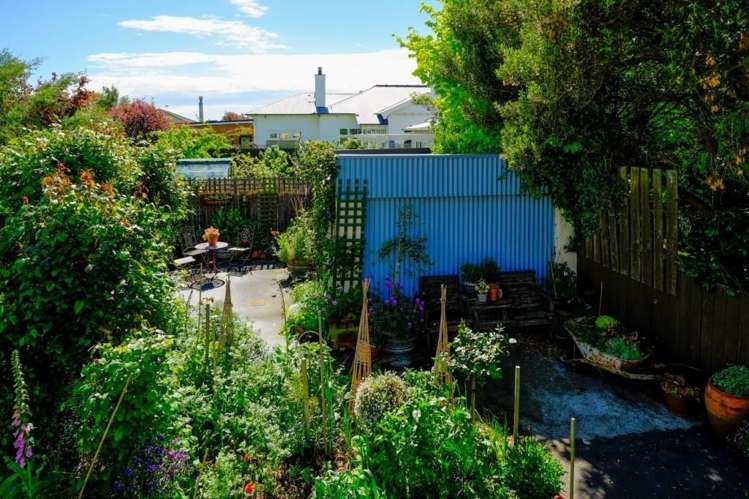 193 Forbury Road Saint Clair_17