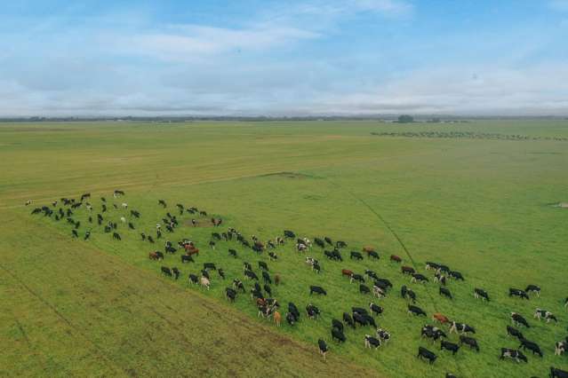 Burnham Road Temuka_4