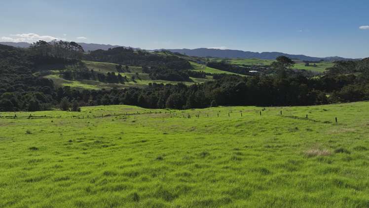 Mangawhai Bush Estate Mangawhai_9