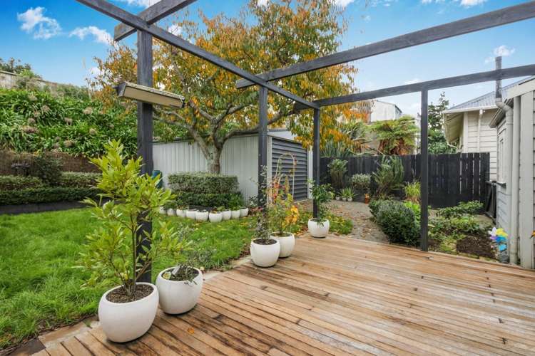 53 Williamson Avenue Grey Lynn_8