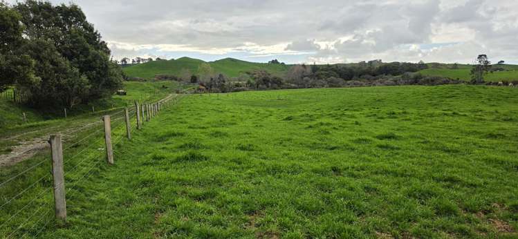 Mangaone Road Inglewood_15