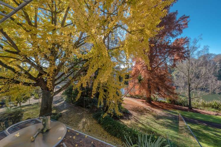 1a Hamilton Parade Hamilton Central_1