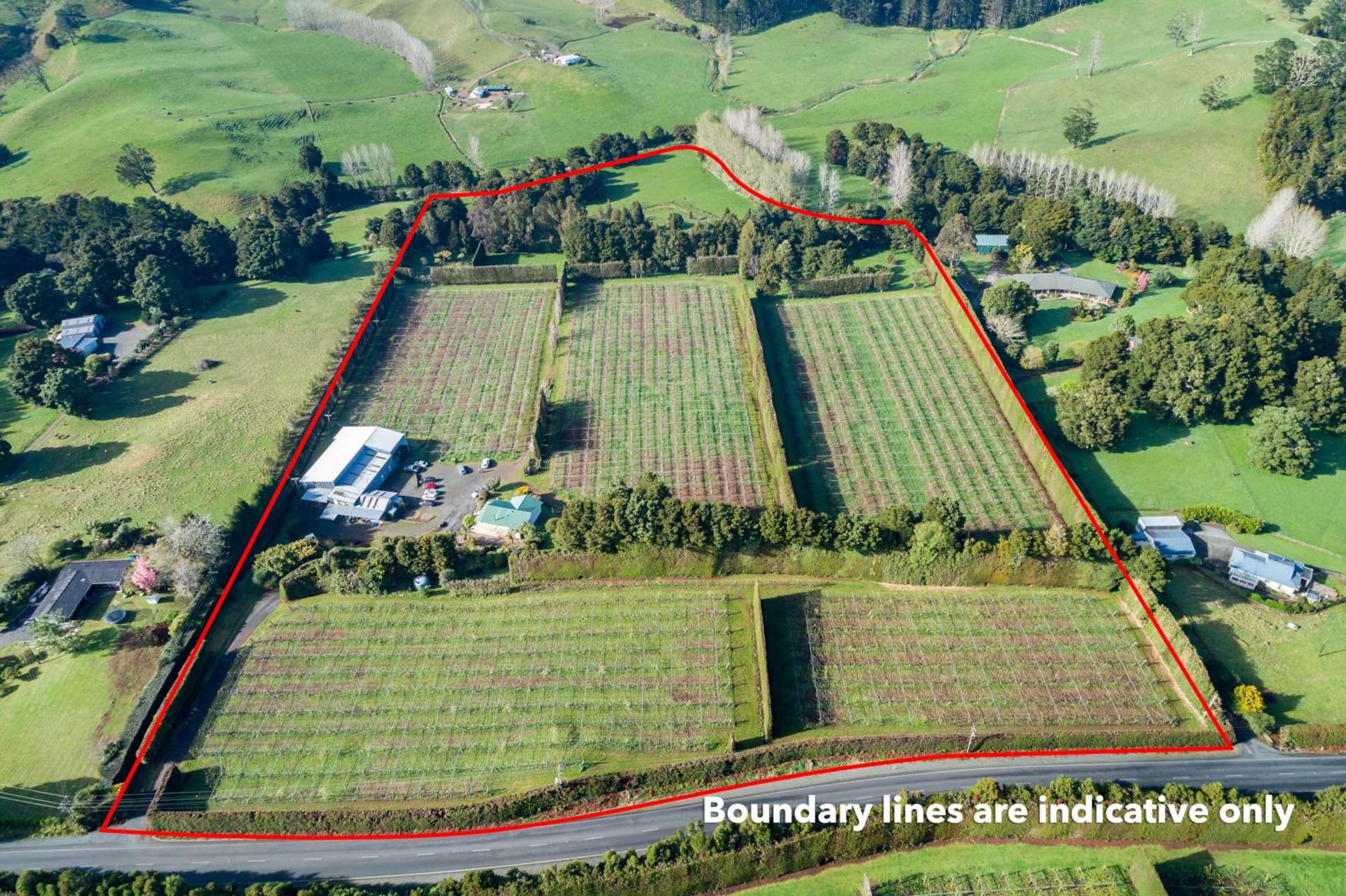 448 Ngunguru Road Glenbervie_0