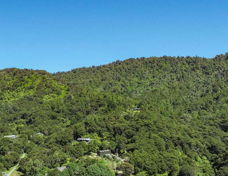 5 Thickpenny Lane Ngaruawahia_4