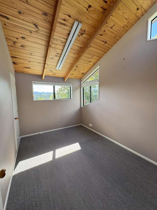 49 Pah Road 11614_4