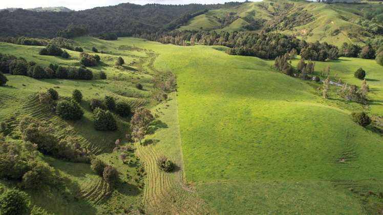 Taylor Road Mangapai and Surrounds_18