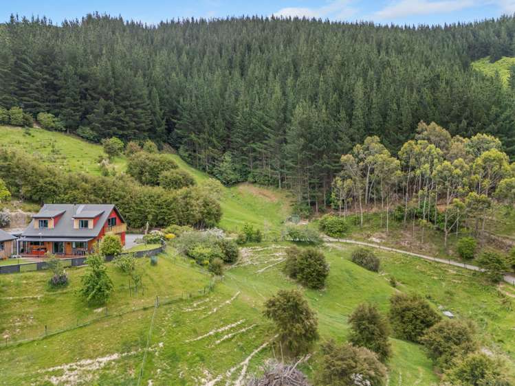 125 Kaiuma Bay Road Canvastown_3