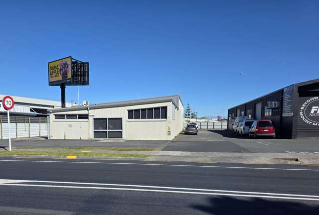 154 Newton Street Mount Maunganui_1