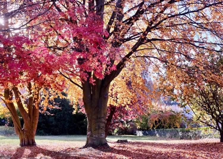 18 Heuchan Lane Wanaka_2