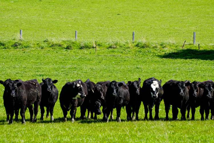 Longridge Road Longridge North_12