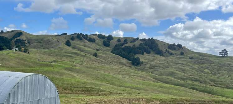 426 Mangarata Block Road Arapohue_23