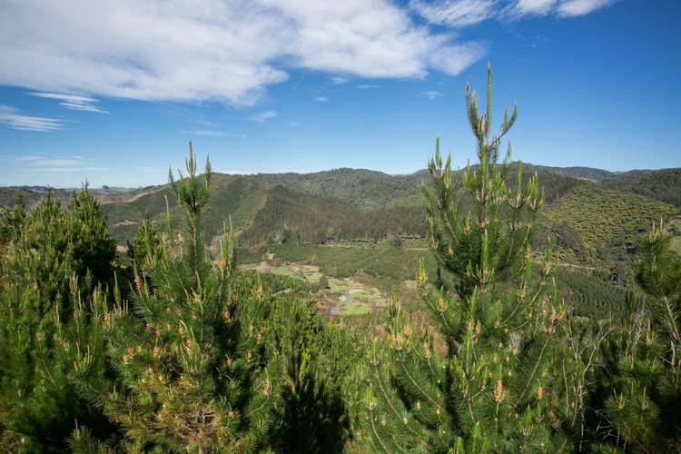 1753 Honikiwi Road Otorohanga_2