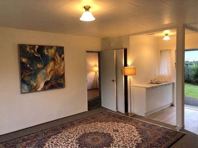 3/18 Ward Street Pukekohe_2