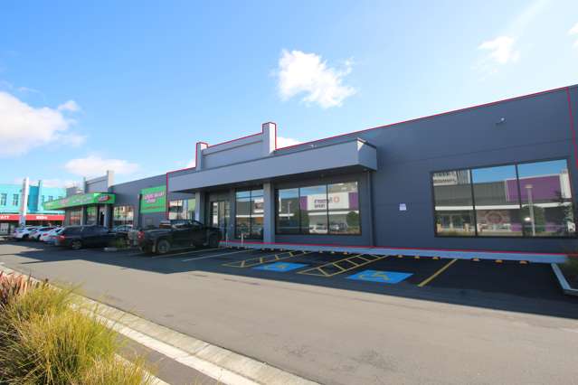 152-166 Rangitikei Street Palmerston North_2