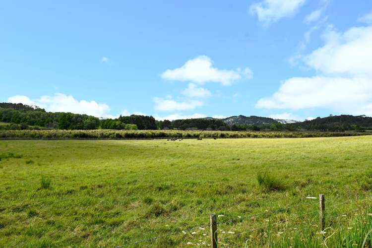 867 Kahikatea Flat Road Waitoki_34