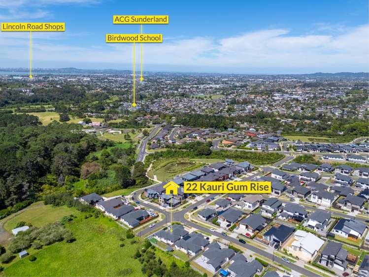 22 Kauri Gum Rise Swanson_25