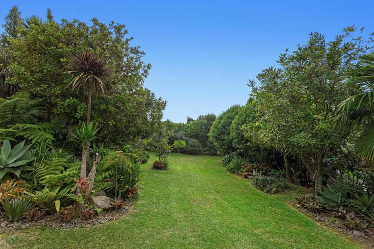 281 McCarthy Road Opotiki_11