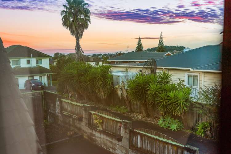 24b New Windsor Road Avondale_14