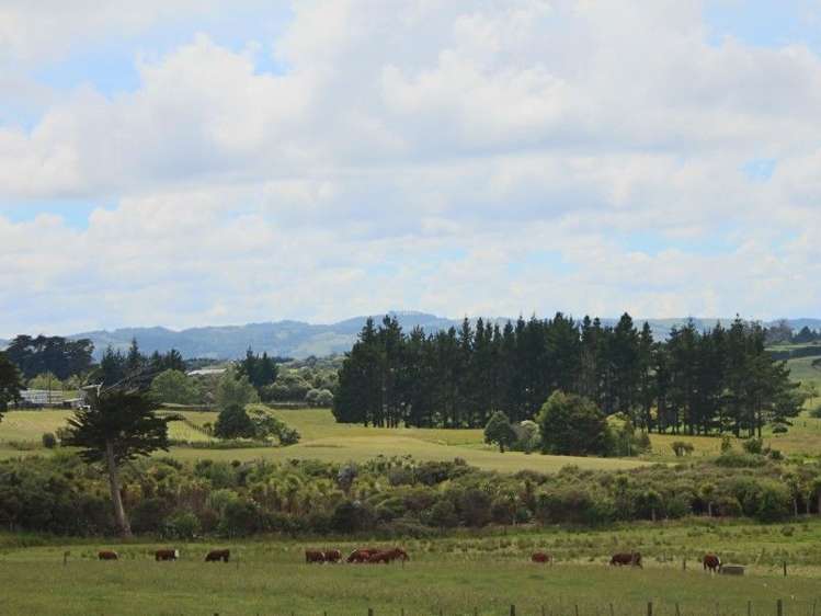 201 Lewis Road Karaka_6