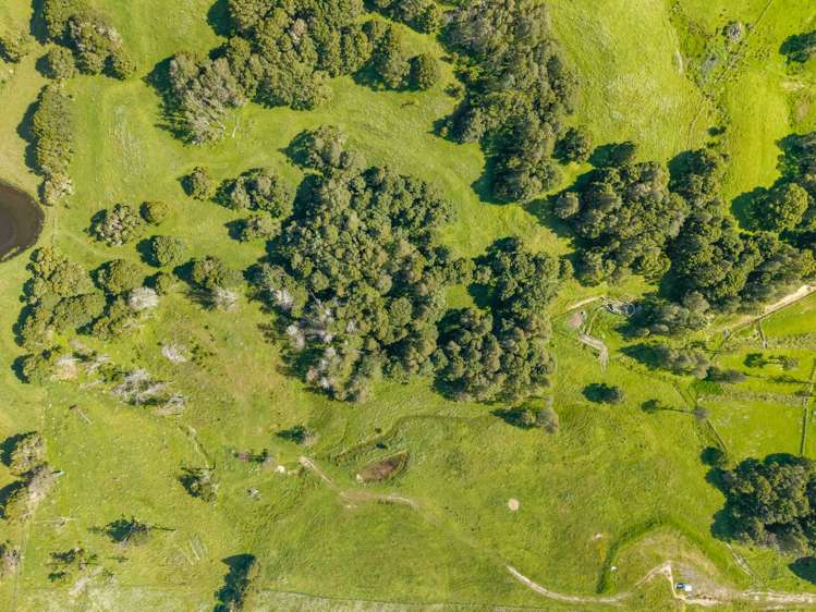 Lot 3 Prictor Rd Wellsford_31