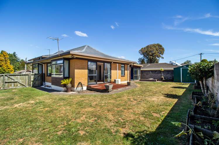 19 Springfield Road Springfield_20