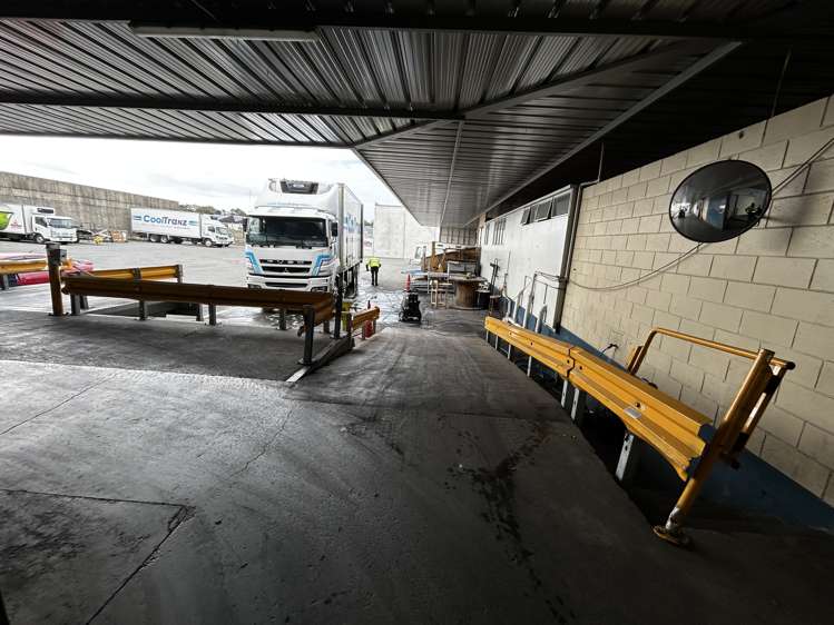 9 Midland Street South Dunedin_10