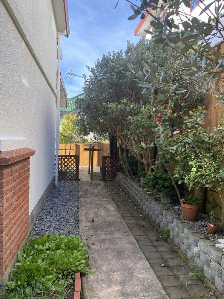 27 Amesbury Drive Churton Park_3