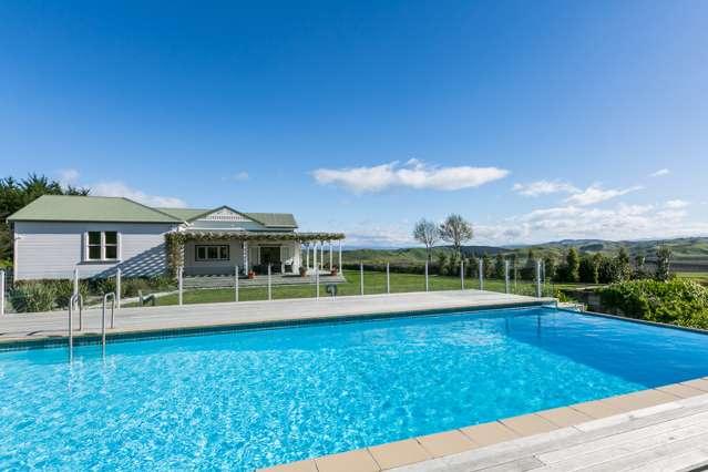 520 Swamp Road Puketapu_1