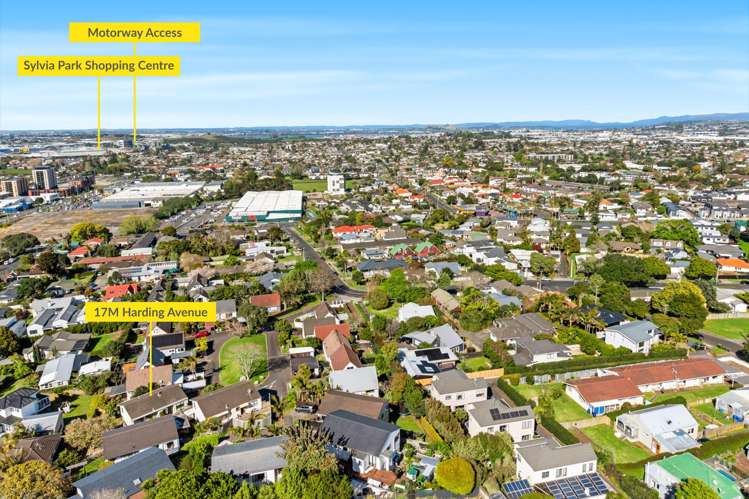 17M Harding Avenue Mount Wellington_12
