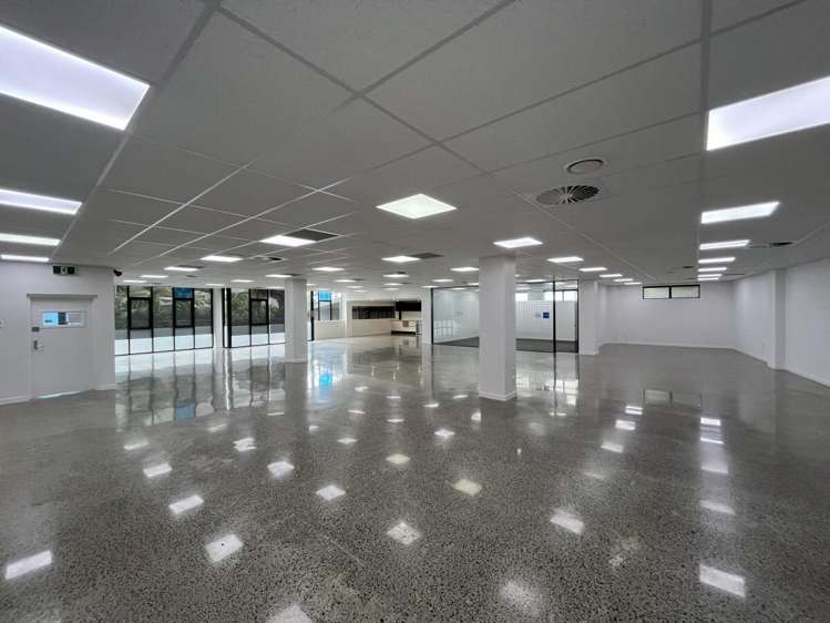 4 Murdoch Road Grey Lynn_12