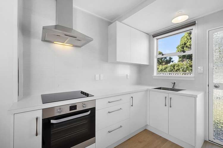 290d Carrington Street Vogeltown_7