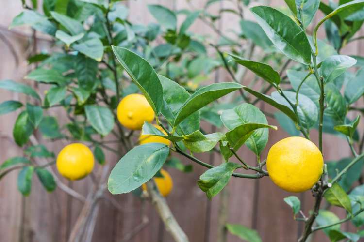 223 Wainui Road Silverdale_21