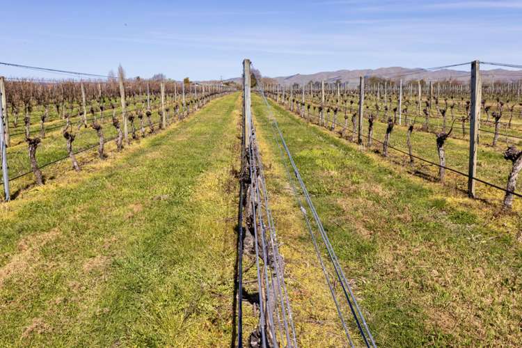 Mills and Ford Road East Grovetown_11