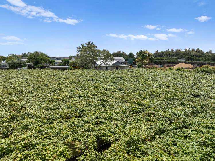 988 Otaika Valley Rd Maungatapere_23