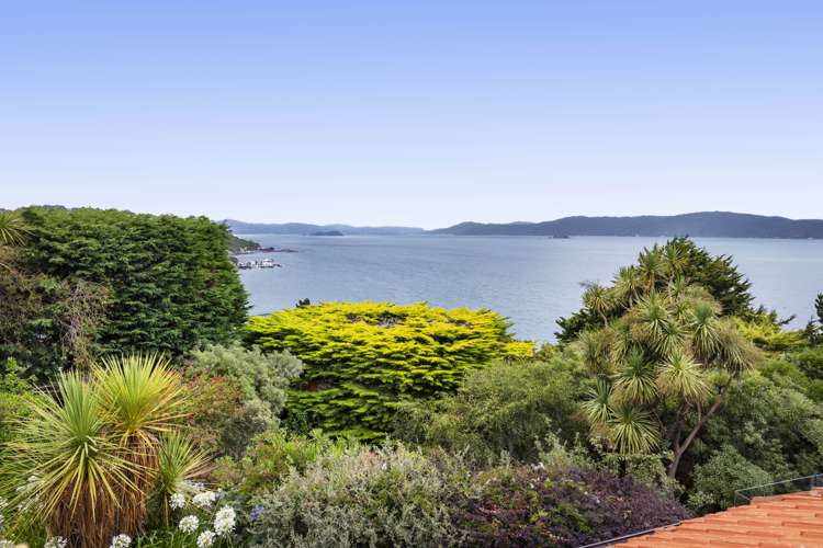 17 Beere Haven Road Seatoun_5