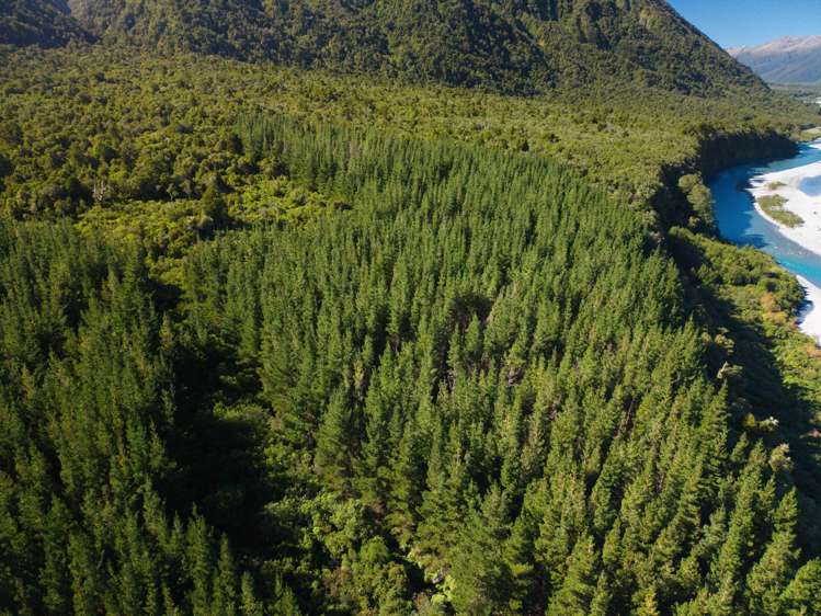 Bell Hill Road Inchbonnie_22