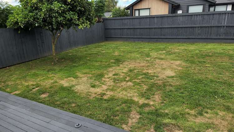 6 Heath Street Saint Andrews_4