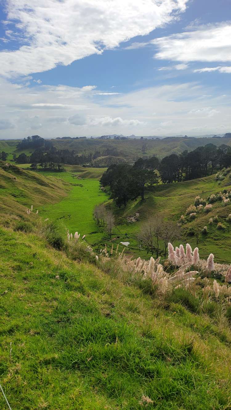 240 Pinaki Road Te Kopuru_4