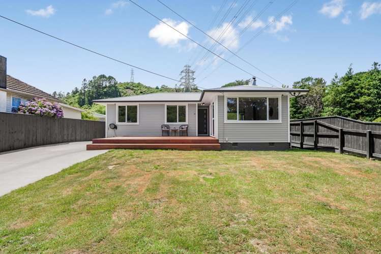 61 Black Beech Street Birchville_20