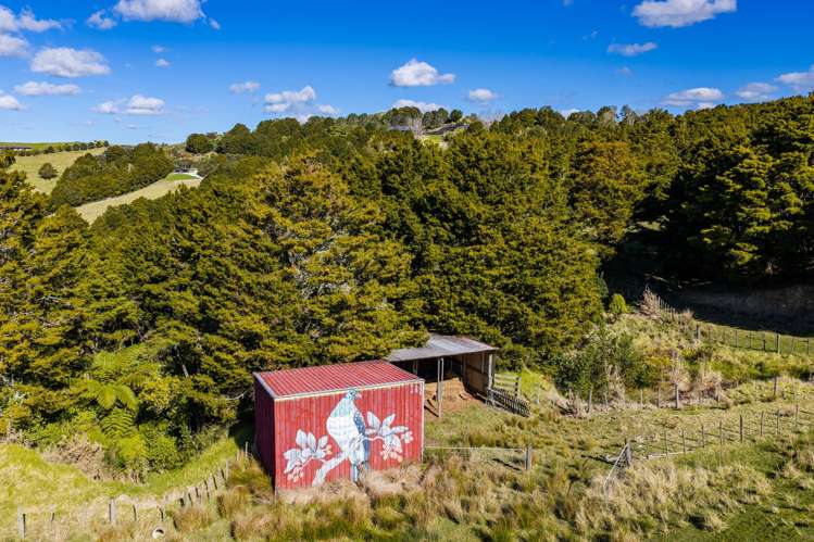 217 Lawrence Road Mangawhai_38