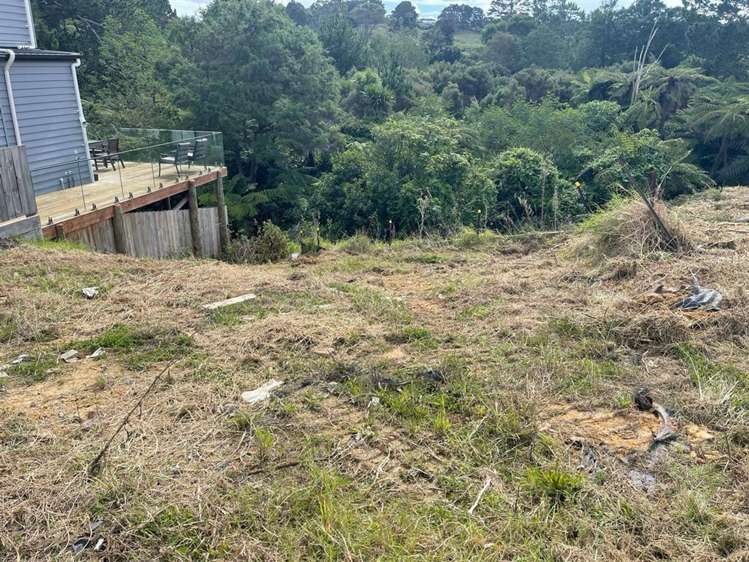 1 Kaimai Avenue Massey_8