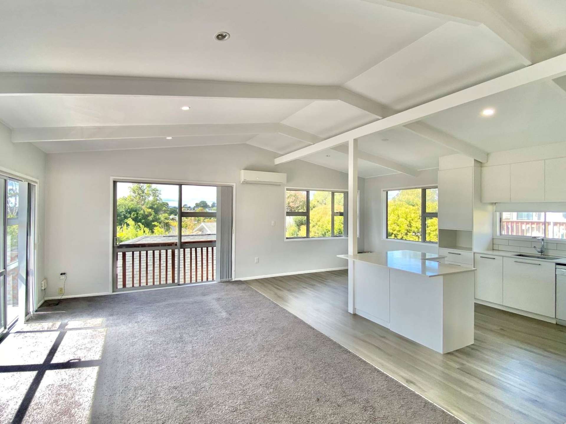 46 Udys Road Pakuranga_0