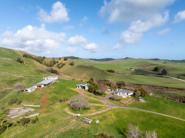 Lot 1 550 Dixon Road Te Akau_0