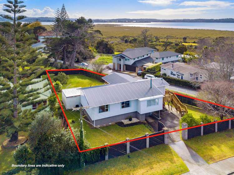46 Totara Road Te Atatu Peninsula_13