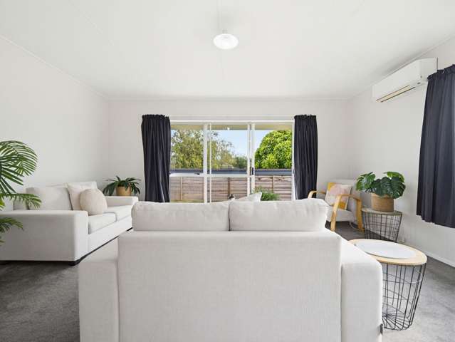 22 Price Cresent Te Awamutu_4