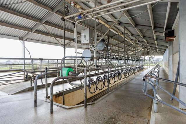7096 State Highway 27 Matamata_3