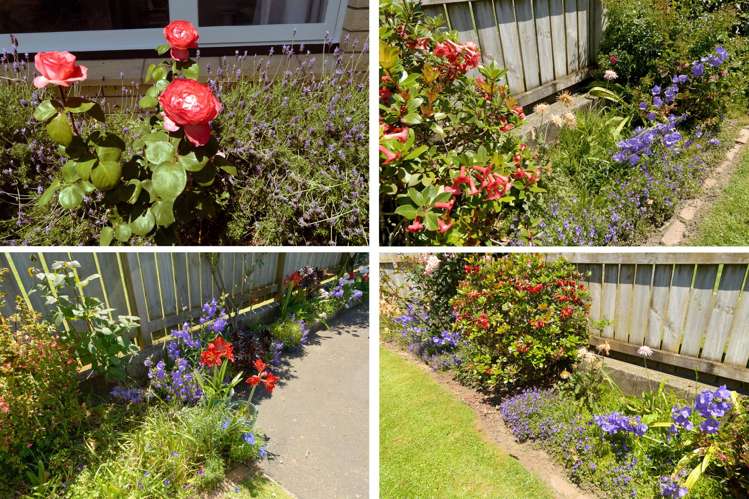 48 Seventeenth Avenue Tauranga South_12