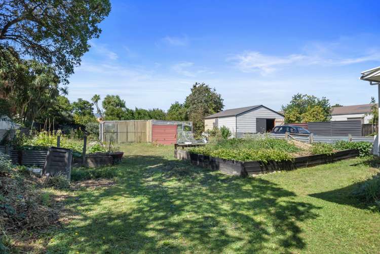 24a Mckenzie Street Levin_15