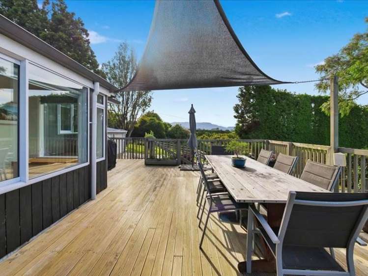 395 Youngson Road Whakamarama_7